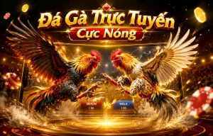 Giao diện sảnh Đá Gà af88games